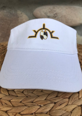 Visors